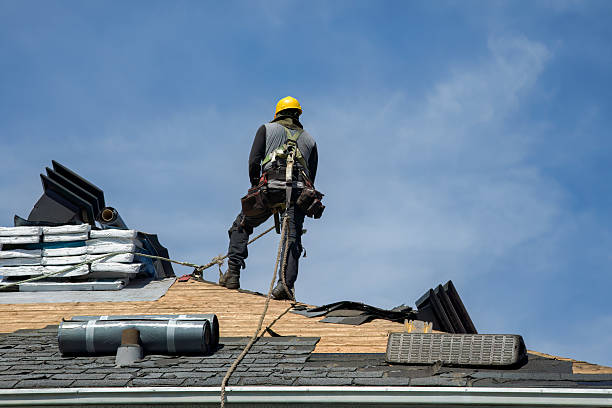 Professional Roofing technician working in Darwin, MN